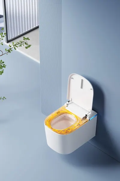Sanova Y3WB, immagine 8 di 8